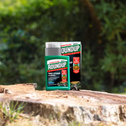 Roundup Tree Stump Weedkiller, Super Concentrate 250 ml