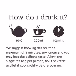 Twinings Jasmine Green Tea 80 Tea Bags (Multipack of 4 x 20 Tea Bags)