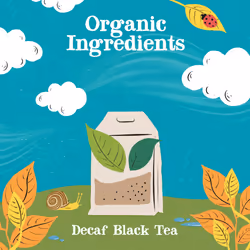 Clipper Organic Everyday Decaf Tea Bags | Natural, Unbleached, Plant-Based Biodegradable & Non GM Black Tea Bags | Eco Conscious & Fair Trade Tea |