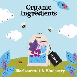 Clipper Organic Blackcurrant & Blueberry Infusion Fruit Teabags / 80 Infusions Tea Bags (4x Boxes of 20) / Caffeine-Free Herbal Tea/Natural,