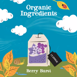 Clipper Organic Berry Burst Tea Bags | 150 Infusion Blackcurrant & Mix Fruit Teabag Sachets (6x Boxes of 25) | Bulk Buy, Home & Catering |