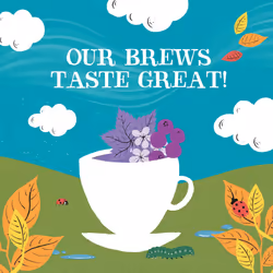 Clipper Organic Berry Burst Tea Bags | 150 Infusion Blackcurrant & Mix Fruit Teabag Sachets (6x Boxes of 25) | Bulk Buy, Home & Catering |