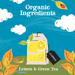 Clipper Organic Lemon Green Tea Bags | 120 Teabags (6x Boxes of 20) | Bulk Buy for Office, Home & Catering | Pure, Fair Trade Green Tea with Lemon |