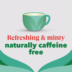 PG Tips | Peppermint Tea Bags Bulk | Individually Wrapped Tea Bags | String & Tagged | Refreshing & Minty Taste | 6 Packs | 150 Plant Based