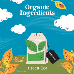 Clipper Organic Pure Green Tea Bags | 250 Individually Wrapped Teabags | Bulk Buy for Home, Catering & Parties | Eco-Conscious, Fair Trade Tea |