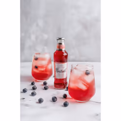 Britvic Cranberry Juice - Expertly Blended Drink - Pack of 24 x 200ml