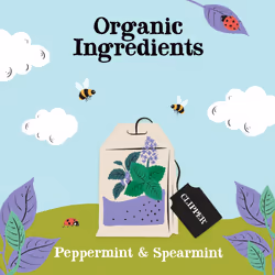 Clipper Organic Peppermint & Spearmint Infusions Fruit Teabags / 80 Infusions Tea Bags (4x Boxes of 20) / Caffeine-Free Herbal Tea/Natural,