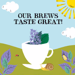 Clipper Organic Peppermint & Spearmint Infusions Fruit Teabags / 80 Infusions Tea Bags (4x Boxes of 20) / Caffeine-Free Herbal Tea/Natural,