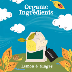 Clipper Organic Lemon & Ginger Tea Bags | 120 Teabag Sachets (6x Boxes of 20) | Bulk Buy, Home & Catering | Caffeine-Free Herbal Tea Bags |