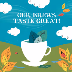Clipper Organic Peppermint Tea Bags | 250 Individually Wrapped Infusion Teabag Sachets | Bulk Buy for Home & Catering | Caffeine-Free Fairtrade Herbal
