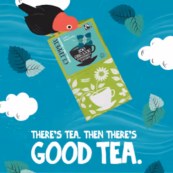 Clipper Organic Peppermint Tea Bags | 250 Individually Wrapped Infusion Teabag Sachets | Bulk Buy for Home & Catering | Caffeine-Free Fairtrade Herbal