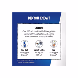Red Bull Energy Drink Sugar Free Blue Edition Juneberry 355 ml x12