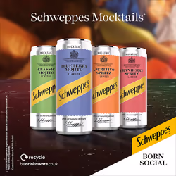 Schweppes Can Cranberry Pomegranate 250 ml (Pack of 12)