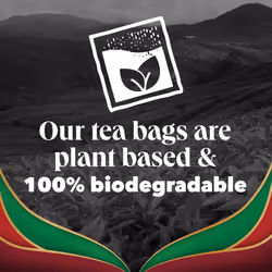 PG Tips Special Blends English Breakfast Tea Bags Bulk Bold, Strong & Flavourful 6 x 80 Tea Bags 420 Plant Based Biodegradable Teabags