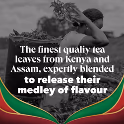 PG Tips Special Blends English Breakfast Tea Bags Bulk Bold, Strong & Flavourful 6 x 80 Tea Bags 420 Plant Based Biodegradable Teabags