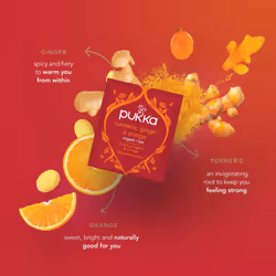 Pukka Herbs | Turmeric Active Organic Box |Tea With Ginger, Turmeric, Nettle & Orange | Ideal For Boosting Energy | 4 Packs | 80 Plant Based