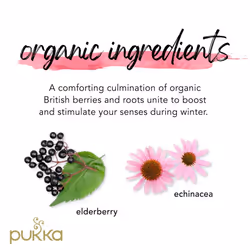 Pukka Herbs | Elderberry and Echinacea Organic Herbal Tea Box | Infusion With Aniseed and Ginger | Perfect For Everyday Support | Caffeine Free | 4