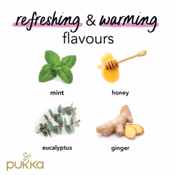 Pukka Herbs | Breathe In Organic Herbal Tea Box | Mint, Eucalyptus, Ginger, Honey | Perfect For Everyday Support | Caffeine Free | 4 Packs | 80 Plant