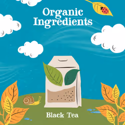Clipper Classic Everyday One Cup Teabags | 250 Individually Wrapped Black Tea Bags | Natural, Unbleached, Plant-Based Biodegradable & Non GM Teabags |