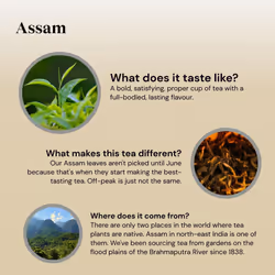 Twinings Assam Tea 160 Tea Bags (Multipack of 4 x 40 Bags)