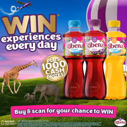 Ribena Mango and Lime Juice Drink No Added Sugar 500ml - Multipack of 12 | Real Fruit | Rich In Vitamin C | No Artificial Colours or Flavours |