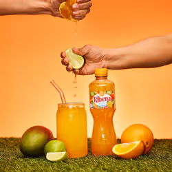 Ribena Mango and Lime Juice Drink No Added Sugar 500ml - Multipack of 12 | Real Fruit | Rich In Vitamin C | No Artificial Colours or Flavours |