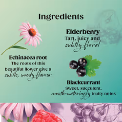Twinings Superblends Immune Support Tea - Blackcurrant, Raspberry & Elderberry Herbal Tea Infusion with Echinacea Root & Vitamin D, 80 x Biodegradable