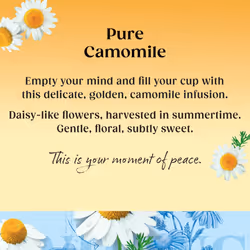 Twinings Pure Camomile Flavoured Tea - 320 BiodegradableTea Bags (Multipack of 4 x 80 Bags), Caffeine & Sugar Free Herbal Vegan Tea , Soothing &