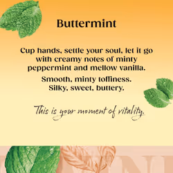 Twinings Buttermint Flavoured Tea Bags - 80 Biodegradable Tea Bags (Multipack of 4 x 20) , Smooth & Creamy Herbal Infusion, Perfect for Relaxation,