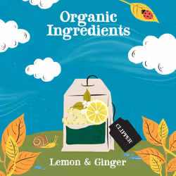 Clipper Organic Lemon & Ginger Tea Bags | 250 Individually Wrapped Teabags | Bulk Buy, Home & Catering | Caffeine-Free Herbal Tea Bags |