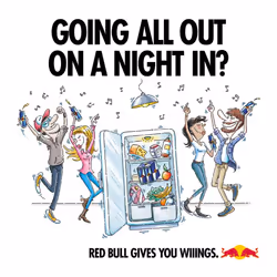 Red Bull Energy Drink Apricot Edition 250 ml x12