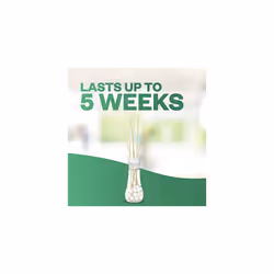 Air Wick Air Freshener Reed Diffuser | Fragrance: Wild Rose and Patchouli | Room Air Freshener | Size: Pack of 5 x 33ml | Usage: Lasts up to 4 weeks /