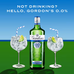 Gordon's Alcohol Free Spirit | 0% vol | 70cl | Created with the Gin Botanicals Used in Gordon's London Dry Gin | Piny Juniper Character | For a Non