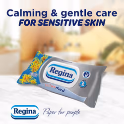 Regina Moist Toilet Tissue UltraMed ? 12 Pack, Each with 42 Flushable moist toilet tissues with Panthenol Lotion & Hamamelis Extract, Gentle Care for