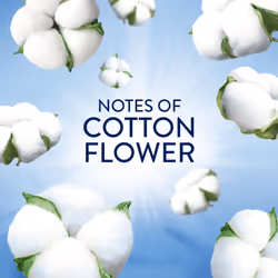 Lenor Laundry Perfume Scent Booster 6 Packs x 155g - Cool Cotton, Lasting Freshness for Up to 12 Weeks