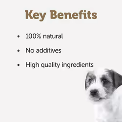 Applaws Natural Wet Puppy Food, Chicken Breast with Rice in Broth Can 156g Hypoallergenic Wet Dog Food (Pack of 8)