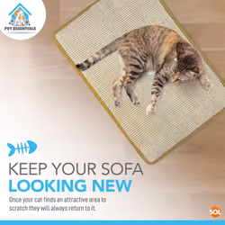 SOL 2pk Cat Scratching Mats 60cm x 40cm - Prevent Sofa Damage With Sisal Scratcher - Indoor Cat Scratching Pad Your Feline Will Love