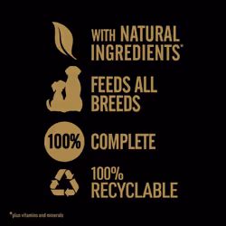 Cesar Natural Goodness Casserole Mixed Selection- Wet Dog Food - for Adult Dogs - in Gravy - 24 x 100 g