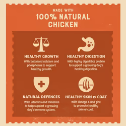 James Wellbeloved Puppy Chicken, Rice and Vegetables in Loaf Can, Hypoallergenic Wet Dog Food (12x400g)