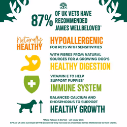 James Wellbeloved Grain Free Puppy Dog Food with Turkey in Gravy Pouch 12 x 90 g