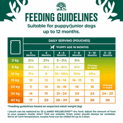 James Wellbeloved Grain Free Puppy Dog Food with Turkey in Gravy Pouch 12 x 90 g