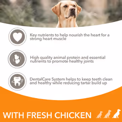 IAMS Complete Dry Dog Food for Senior 7+ Large Breeds with Chicken 3 kg