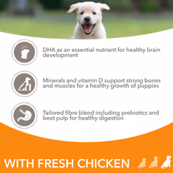 IAMS Complete Dry Dog Food for Puppy Large Breeds with Chicken 12 kg