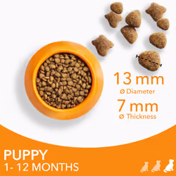 IAMS Complete Dry Dog Food for Puppy Large Breeds with Chicken 12 kg