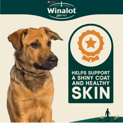 Winalot Shapes Dog Treat Biscuits 5x800 g