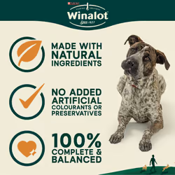 Winalot Shapes Dog Treat Biscuits 5x800 g