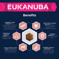 Eukanuba Complete Dry Dog Food for Senior Large and Giant Breeds with Fresh Chicken 15 kg