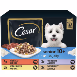 CESAR Senior 10+ Deliciously Fresh Wet Dog Food Pouches Aged Dogs, Mixed Selection in Jelly, Suitable for Senior Dogs Aged 10 ...