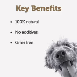 Applaws Natural Wet Dog Food Pouch, Grain Free Whitefish with Salmon in Gravy 12 x 85g Pouches