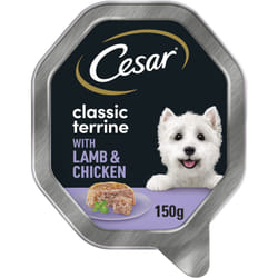 Cesar Classics Terrine - Wet Dog Food for Adult Dogs - Tray with Lamb and Chicken in Jelly - 14 x 150 g